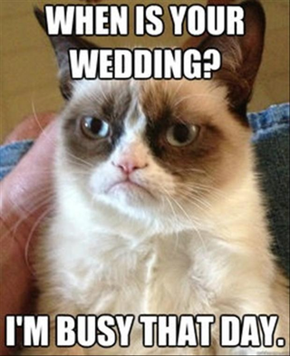 Illustration for article titled Everyone Always Get a Little Nutty During Wedding Posts.